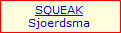 Mission SQUEAK, Sjoerd Sjoerdsma.